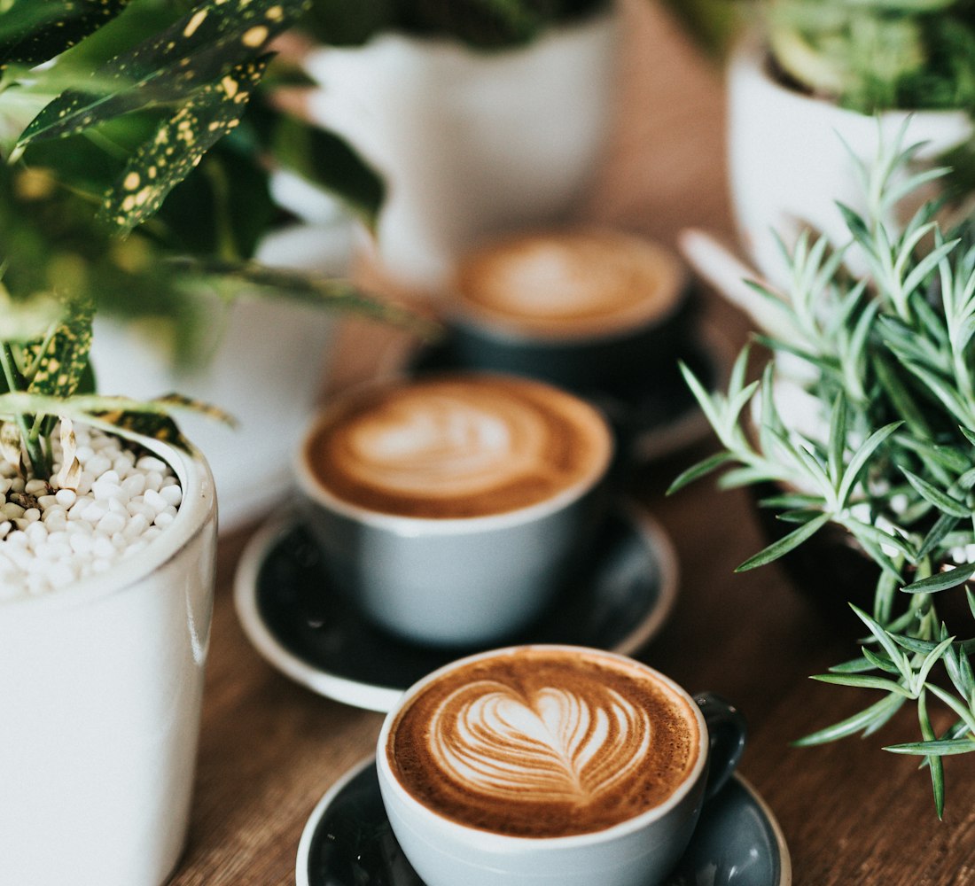 A cup of Brewrydge latte with leaf latte art